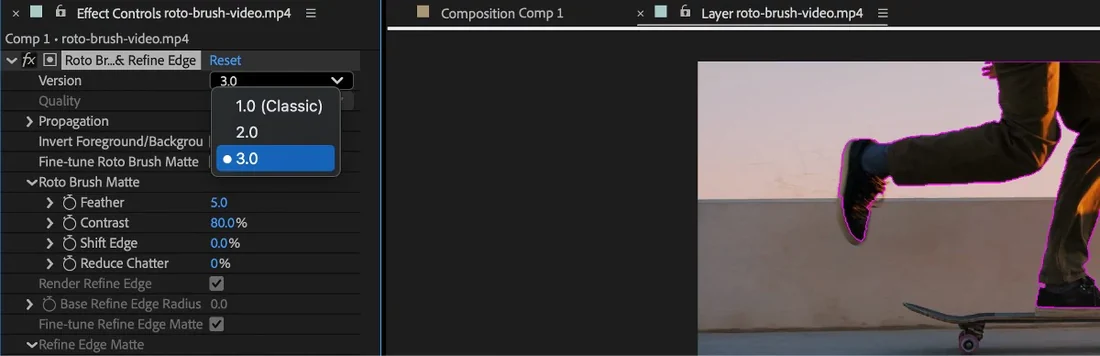 Visual published with the cited source for this record: After Effects' newest Roto Brush still asks for cleanup