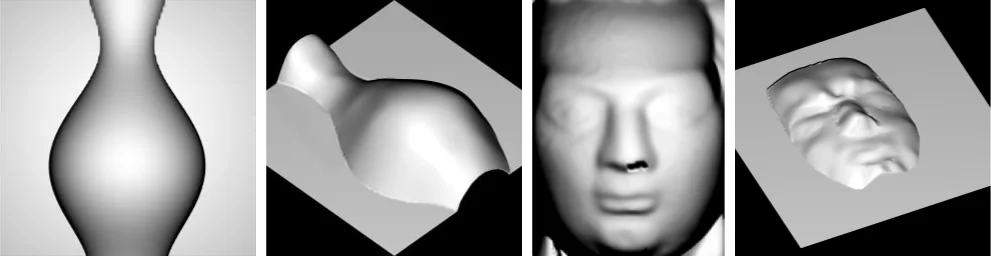 Visual for this record: A hidden face is the documented failure case for motion transfer